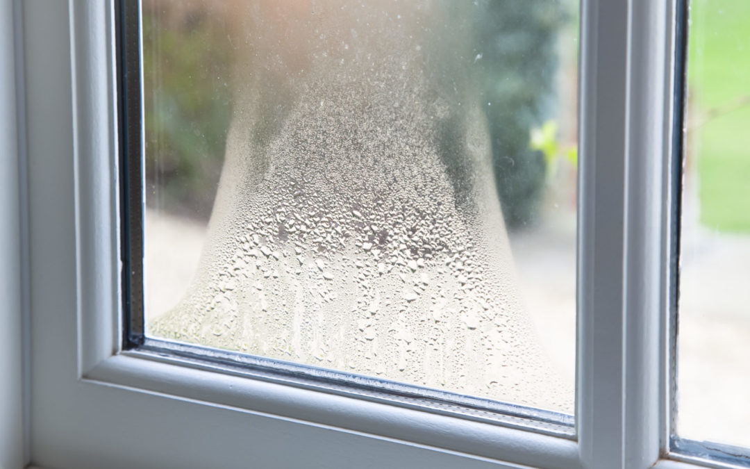 Fog between the Windows? What’s Normal and What’s Not When It Comes to Moisture between Your Window Panes