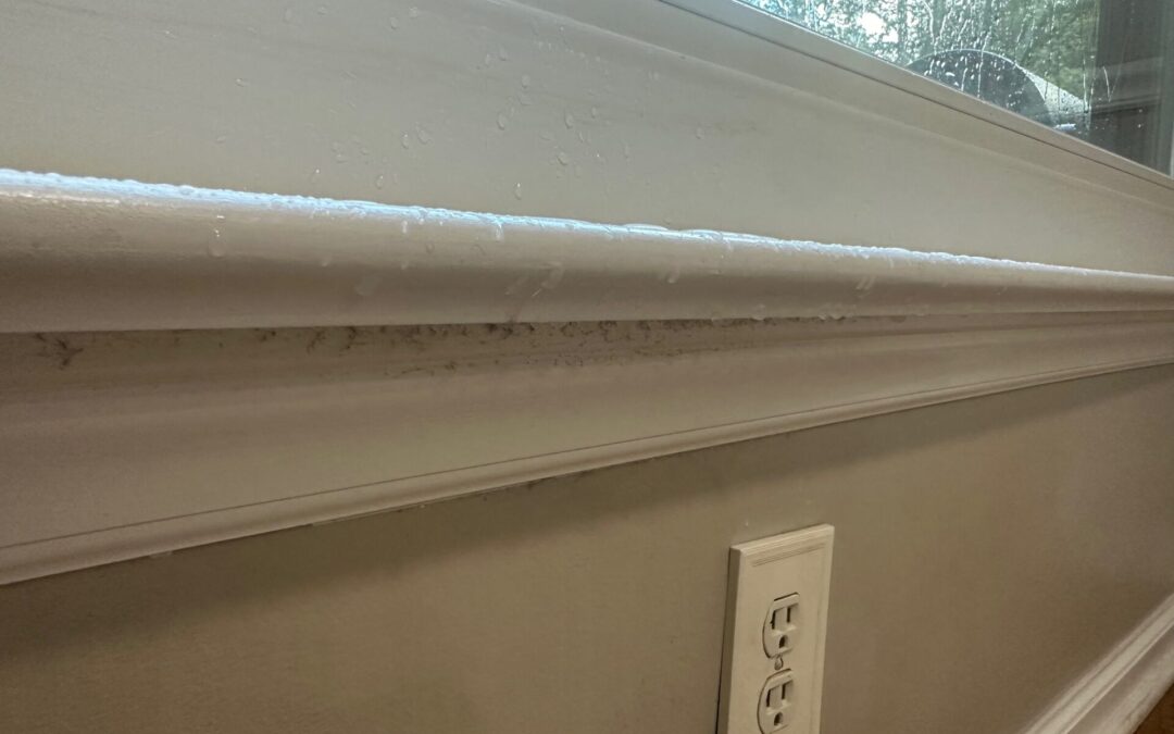 A Simple Water Test Can Determine if The Windows in Your Apex, NC Home Were Improperly Installed