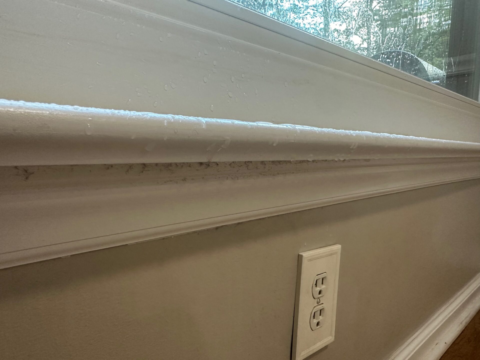 An interior window sill with water pooling from a window leak after a water test